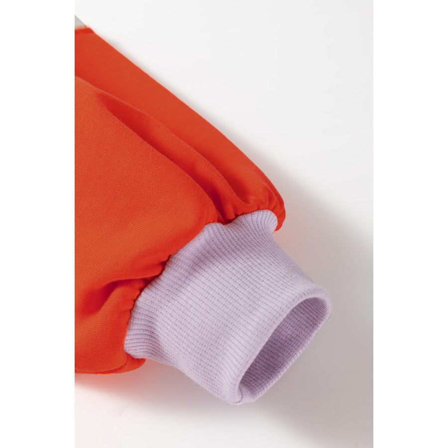 Color Block Round Neck Long Sleeve Sweatshirt Apparel and Accessories