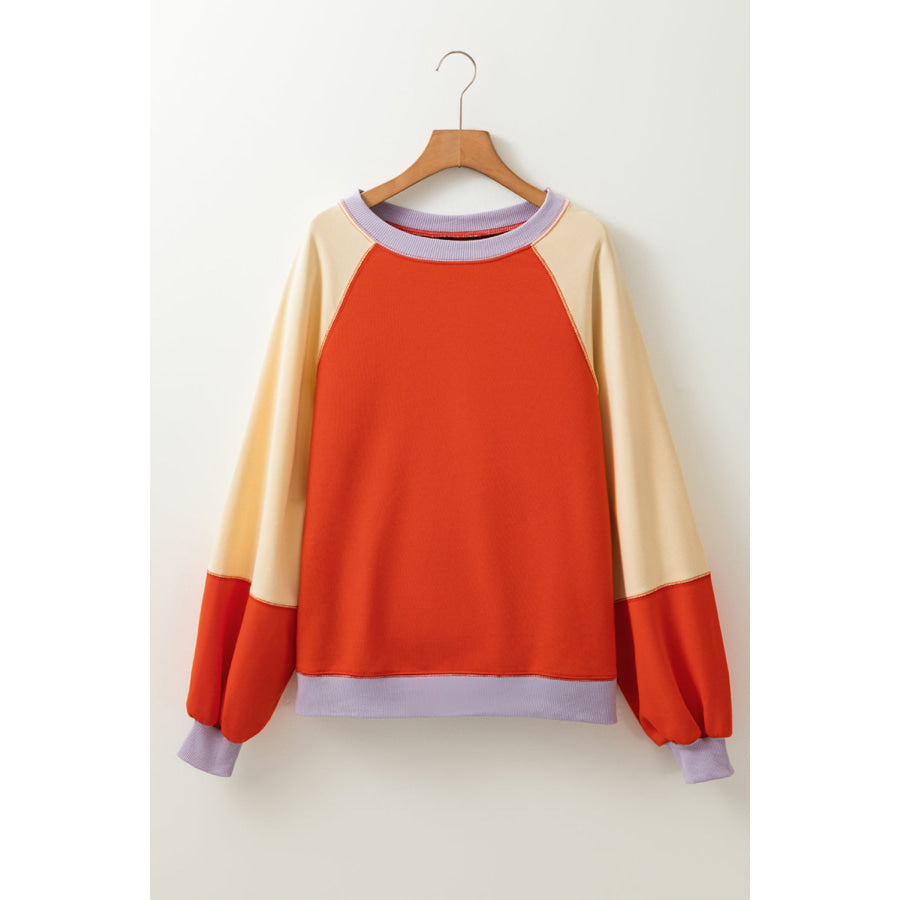 Color Block Round Neck Long Sleeve Sweatshirt Apparel and Accessories