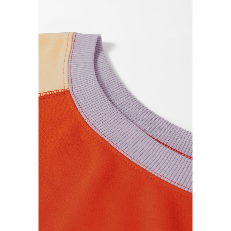 Color Block Round Neck Long Sleeve Sweatshirt Apparel and Accessories