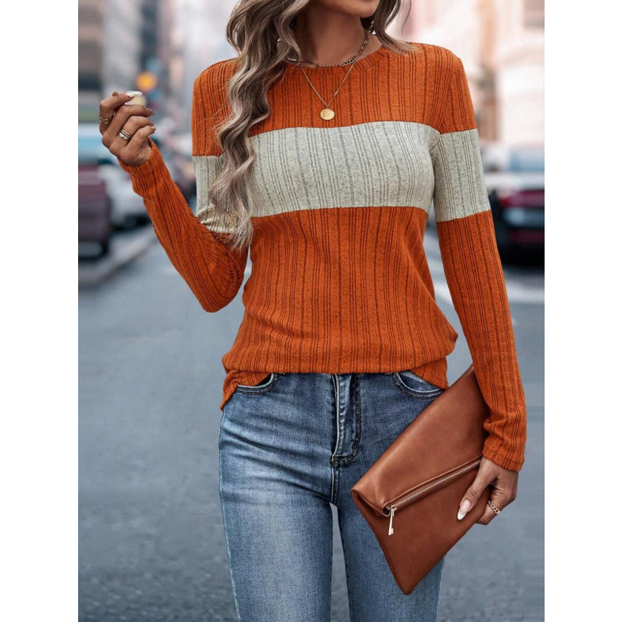 Color Block Round Neck Long Sleeve Top Terracotta / S Apparel and Accessories