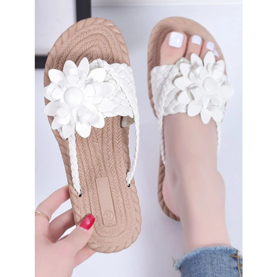 55814a17-7928-447f-8aa1-d33dde362ed8-Max-Origin