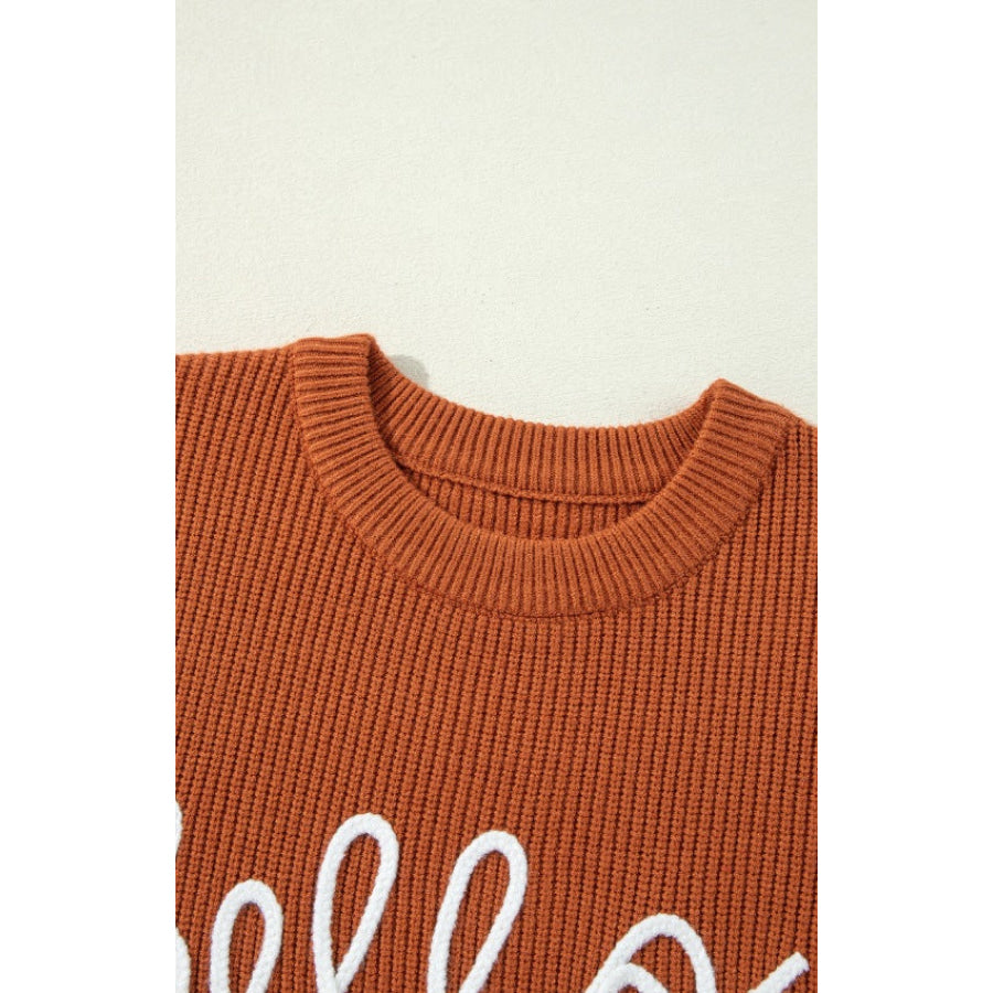 Letter Graphic Round Neck Long Sleeve Sweater Apparel and Accessories