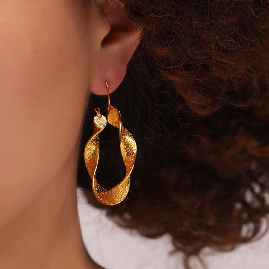 Titanium Steel Twisted Earrings Gold / One Size Apparel and Accessories