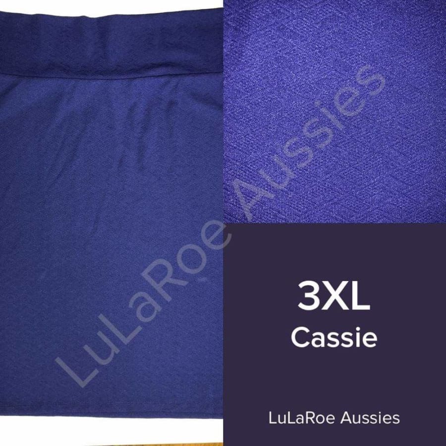 LuLaRoe Cassie 3XL / Blue Skirts