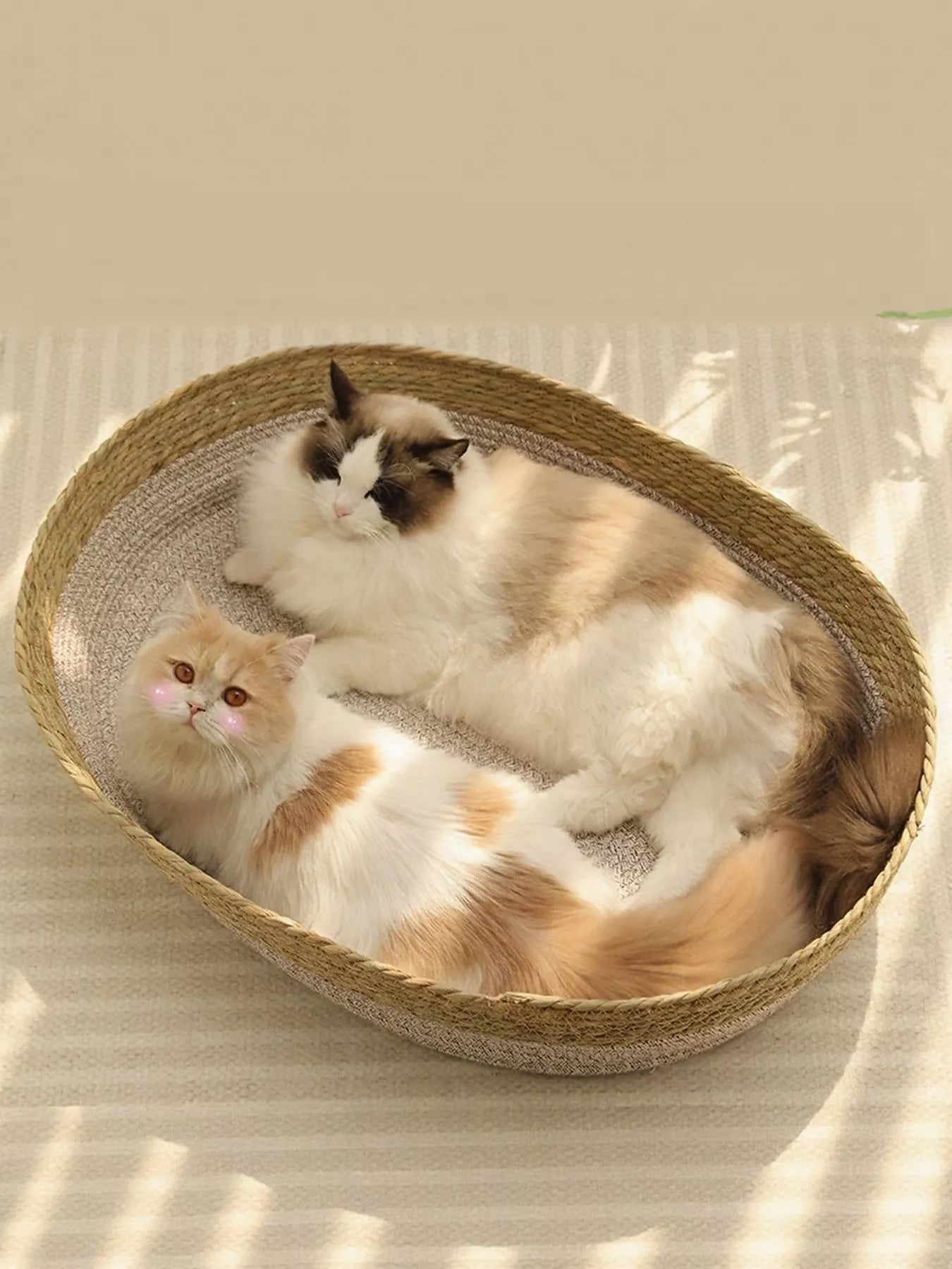 9871f150-e398-4f08-a64f-094c7a9d7073-Max-Origin