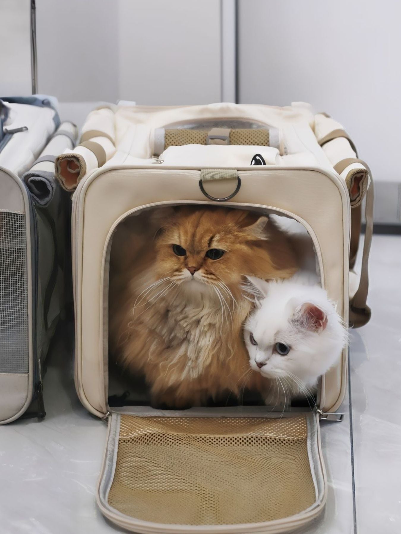 06cdfa8e-fcec-4c15-927b-534b5282d554-Max