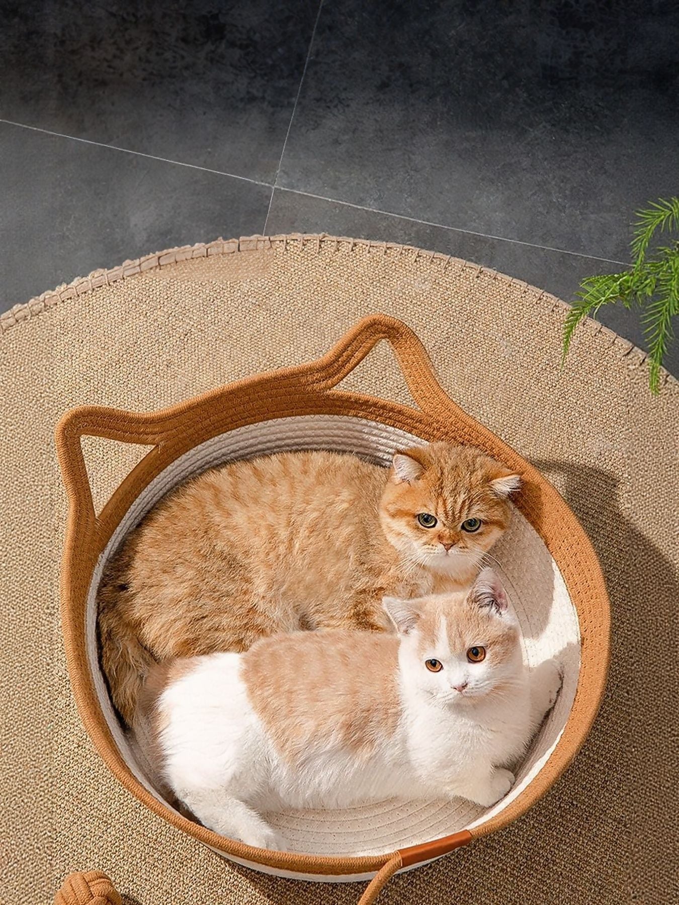 ef8fa71a-ad2b-4a1d-8cd7-4ec695d9005a-Max