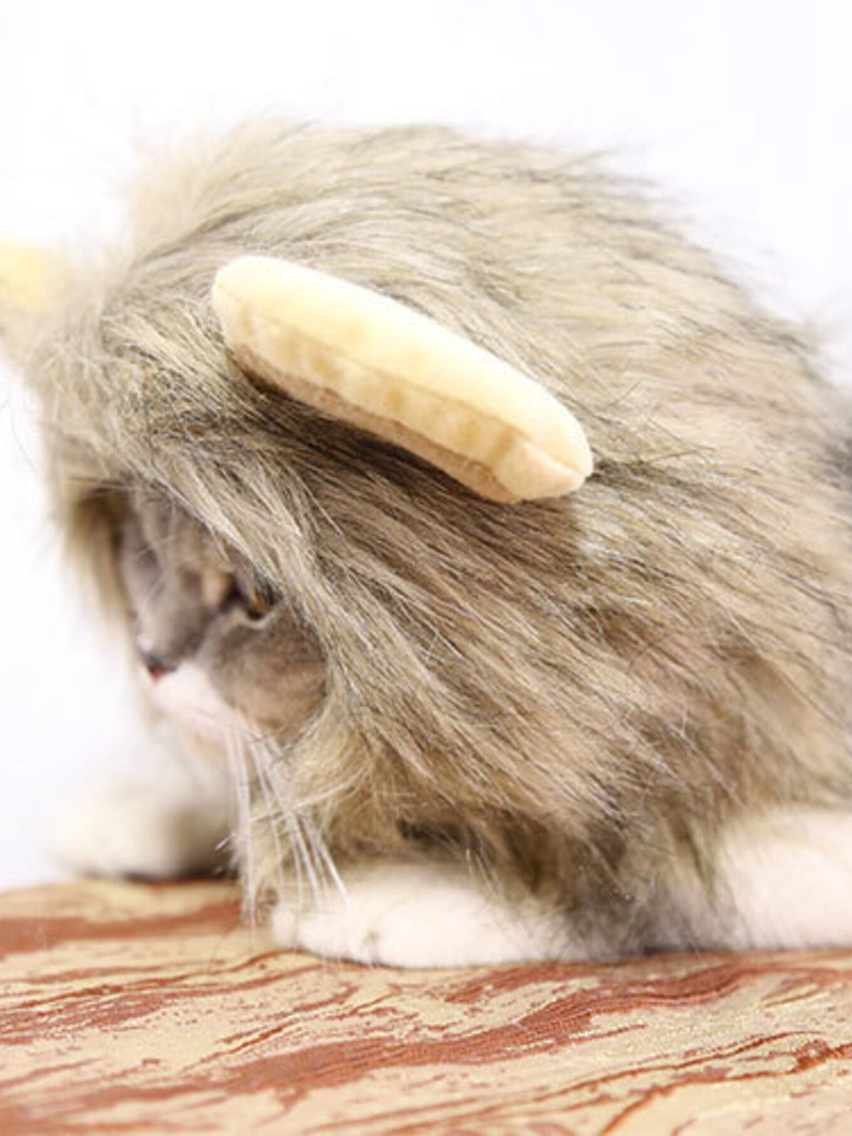 0b6bb085d66d4a488670e0b720b4714e-Max