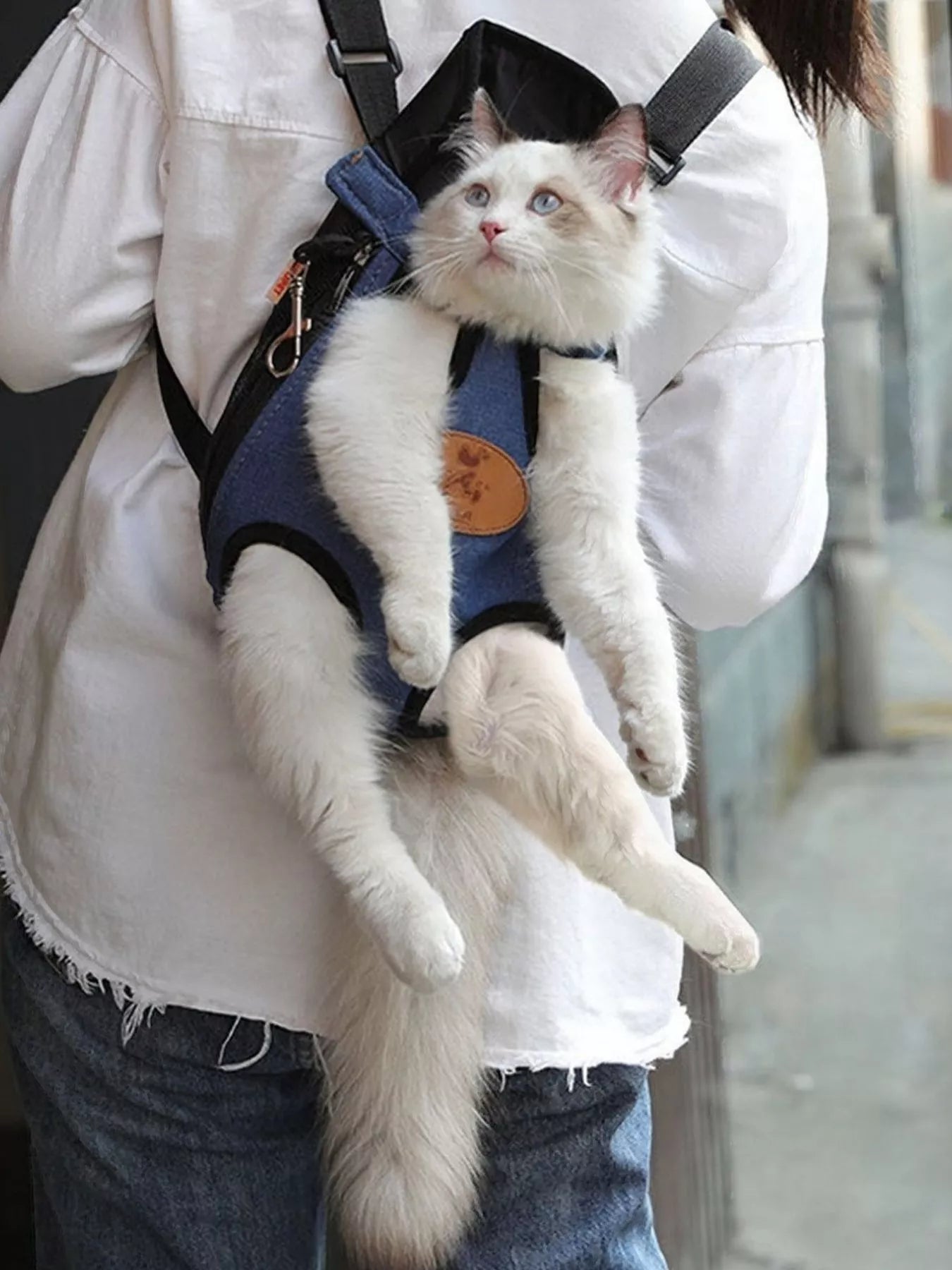 7a94ee22-0565-4186-8ffc-1edfc303af35-Max-Origin