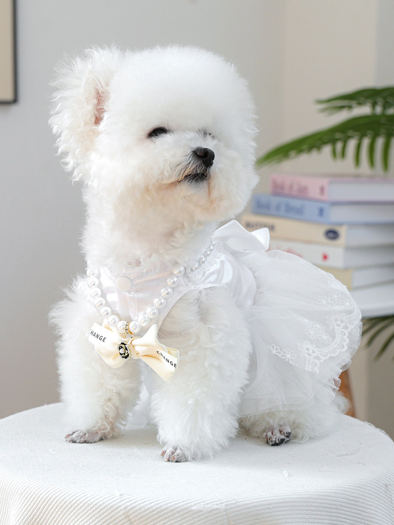 c989883a5cb44ef0a3534cfad8993d99-Max