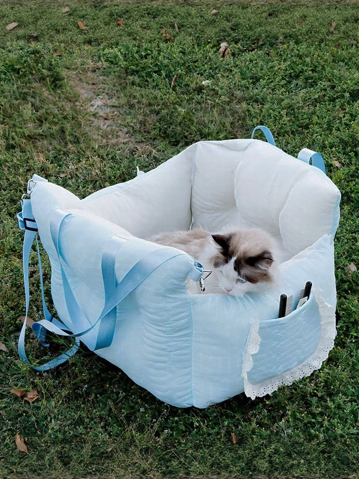 219c9b65-5067-4ac6-8b91-ab85903888f1-Max-Origin