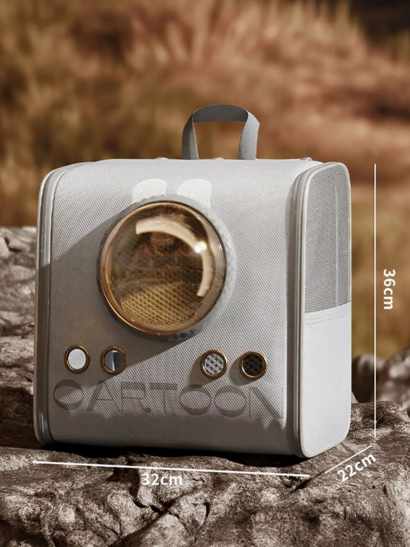 2c587ab6-345b-47fd-83b2-a1374b4b5098-Max-Origin