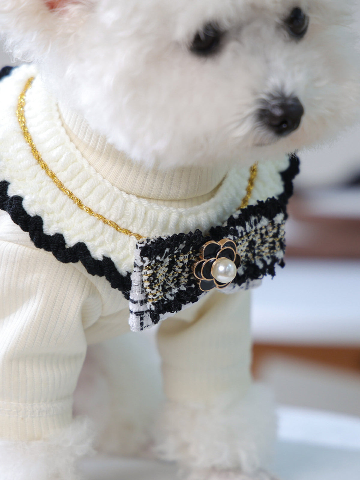 270583a1-3a24-47ab-a7b2-ddfb84b0a632-Max