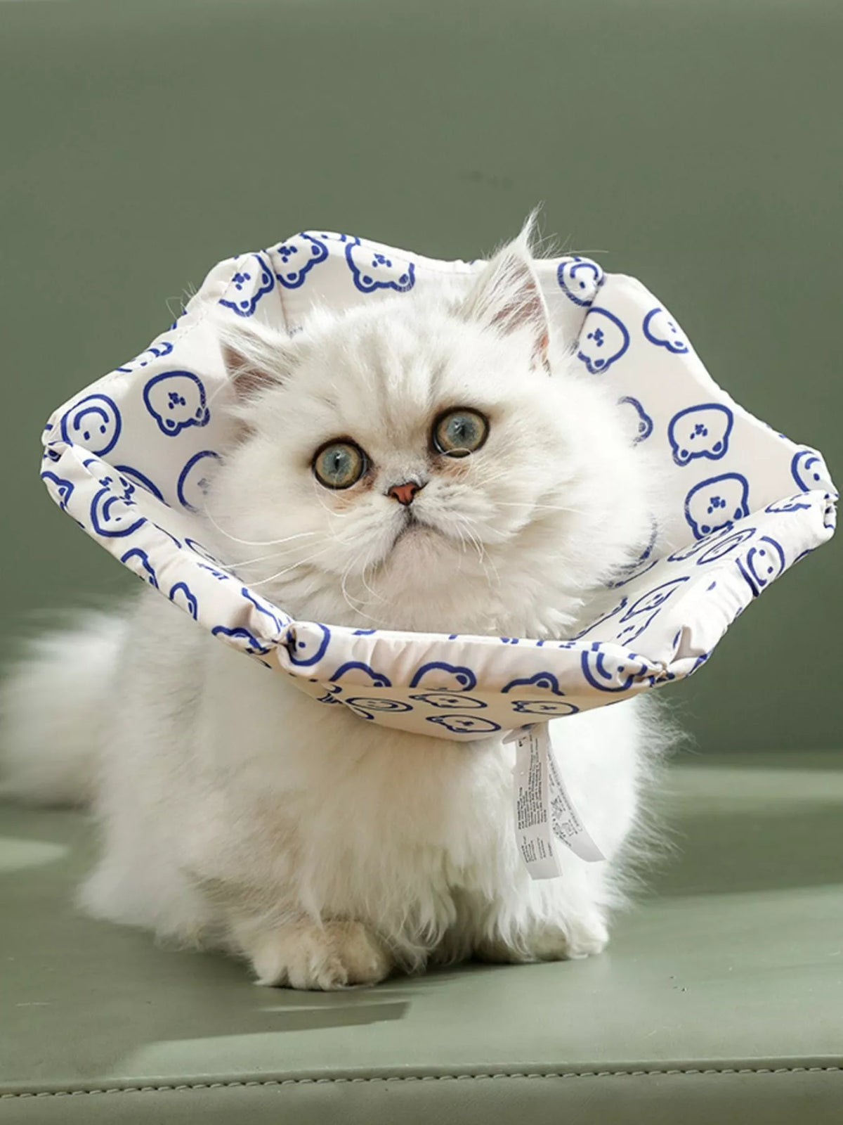 2806a5dc-f258-4d58-a393-83587bbb2a2c-Max-Origin