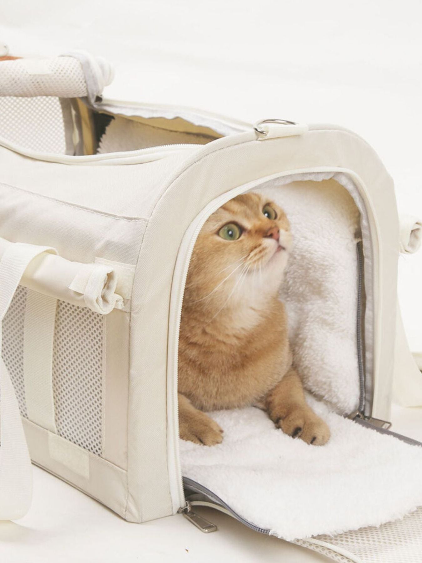 c5f10b44-7195-4bdf-a40a-ae6d0ecd26f0-Max