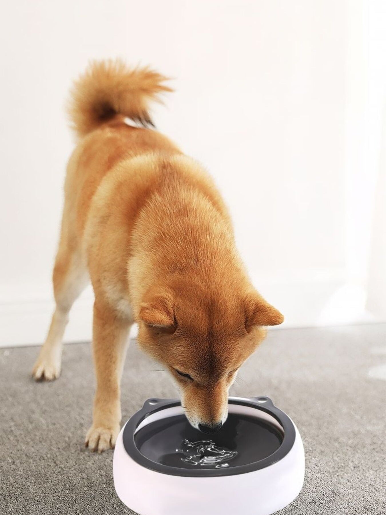 776f521d-d8c2-4f19-8b02-e007a3dd3cc4-Max