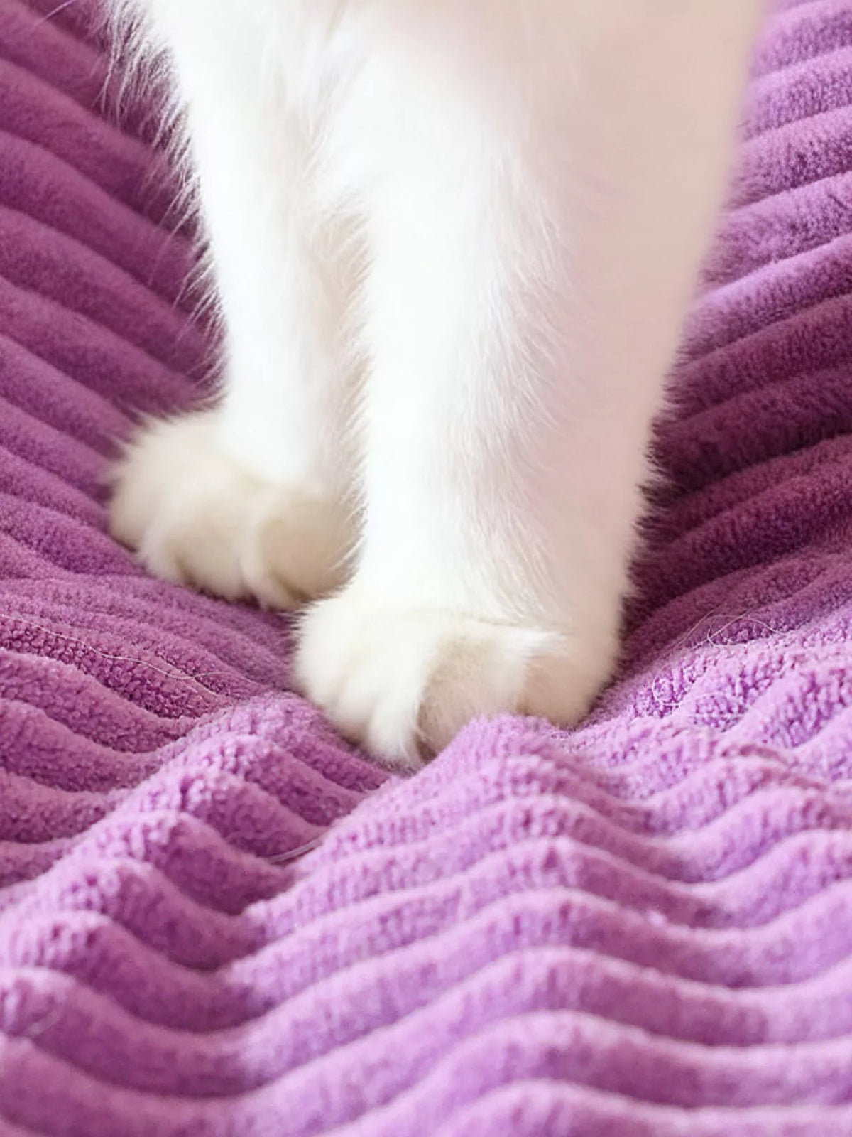 2fa7b5ec-2e3e-4f38-b561-063443391164-Max-Origin