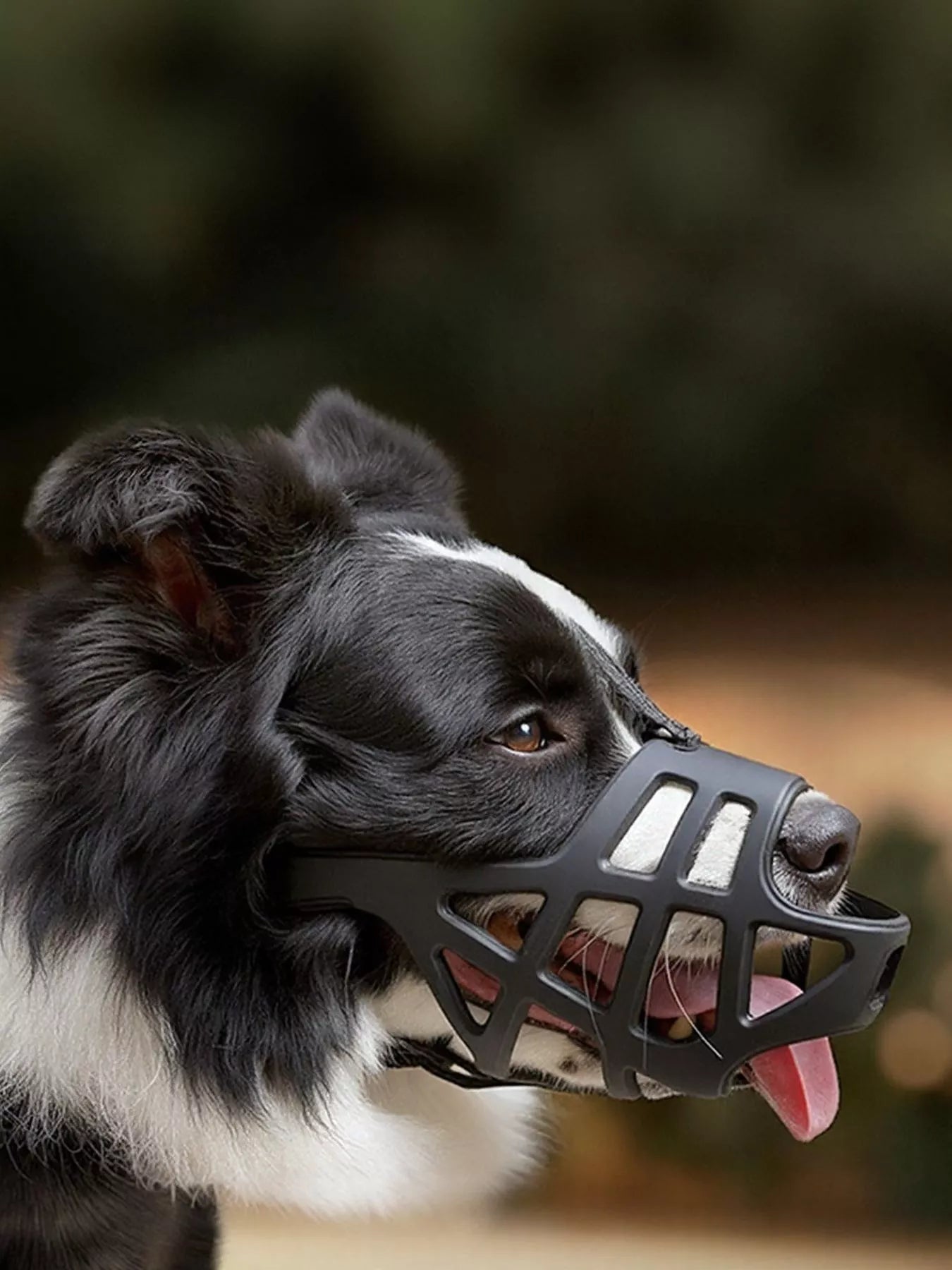 306b34f5-d768-4e60-bebb-f6b46e7a8fa1-Max-Origin