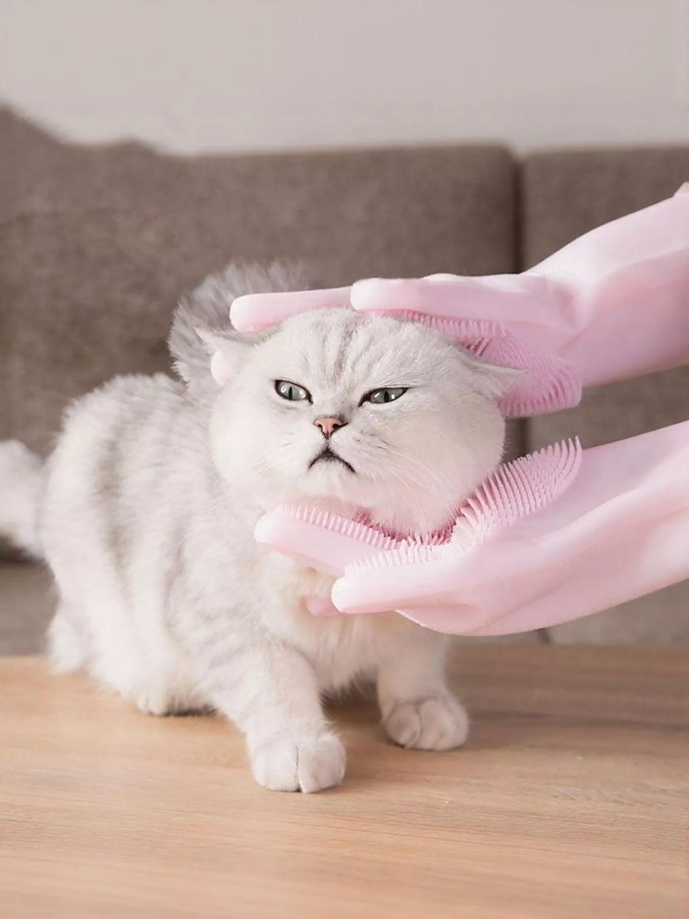 7a6024a2-c927-4b0d-aae9-94f1340f491f-Max-Origin