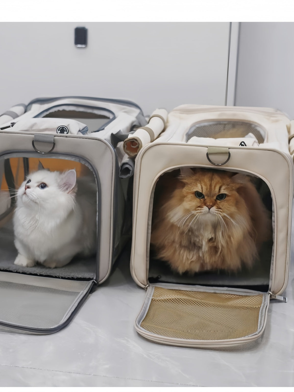 39e7eb0fb65d40b8a9f48df7015e5dc5-Max