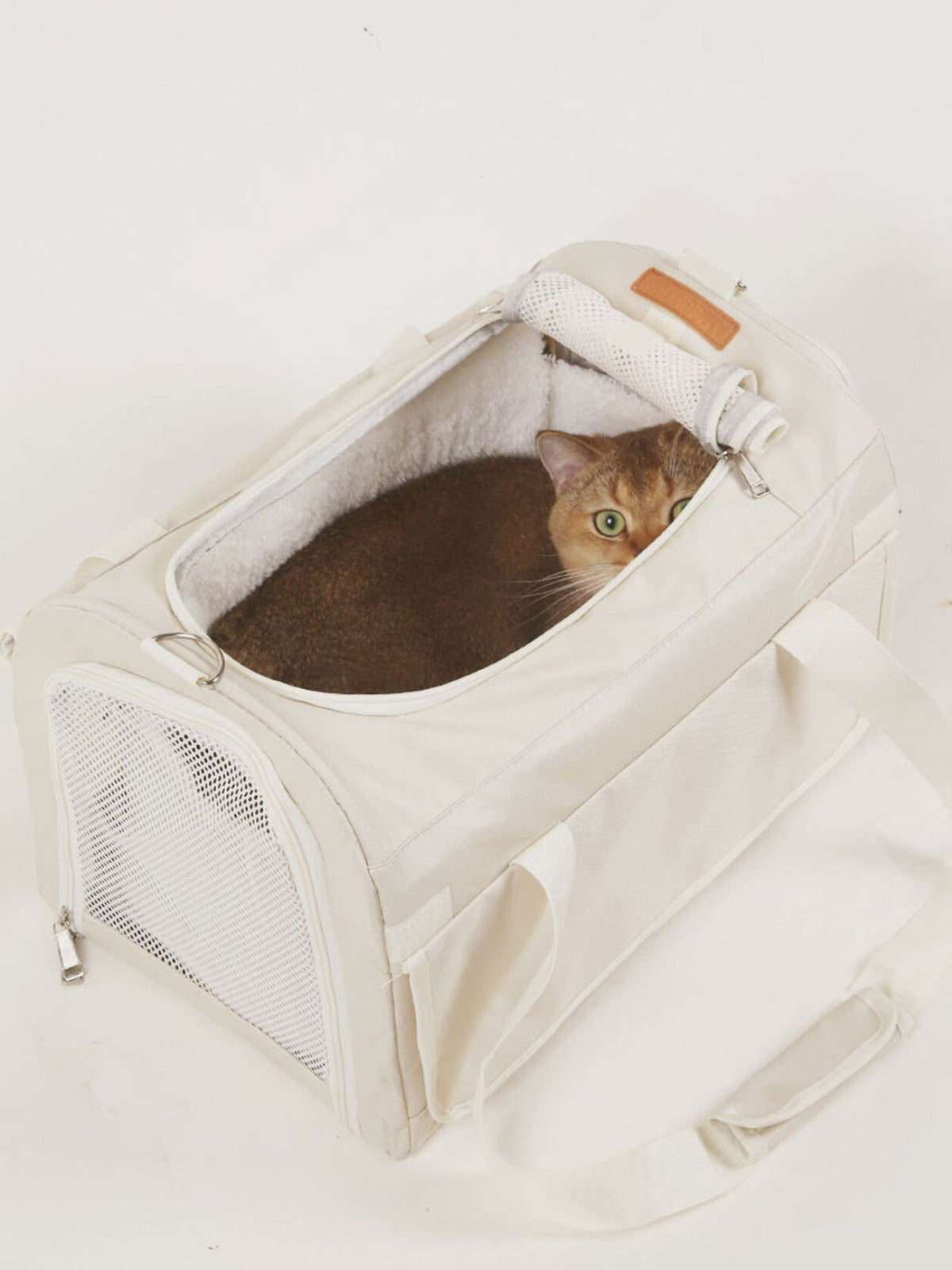 3a0a67ee-2289-44fb-b153-a6322e56167d-Max