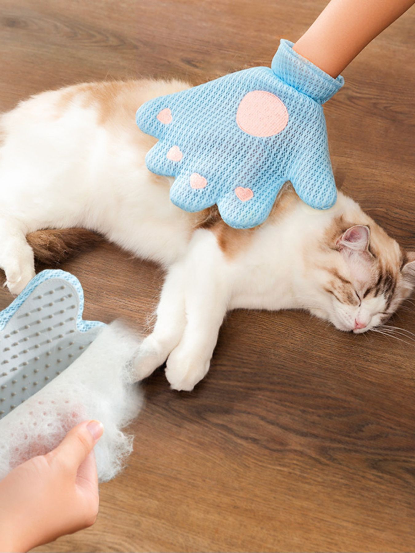 3e0cf4d700274f93a6bbb02498f1de80-Max