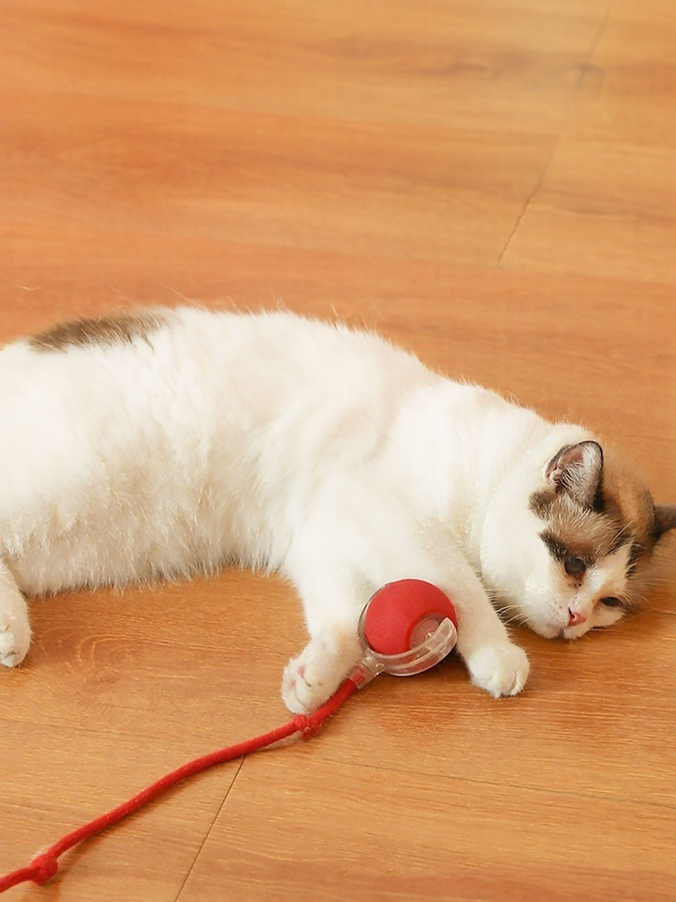 422364fc-ea3e-47b4-983a-0e4d2dd57b2d-Max