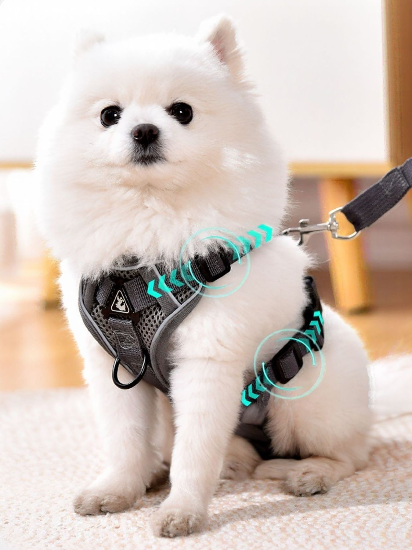 6fceffcf-d8a1-4657-9aa4-8cf7310b42b0-Max