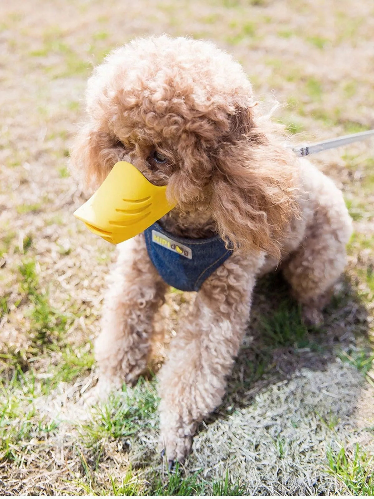 44a6fd05-a563-4c12-94a9-f7a73cee27c7-Max-Origin