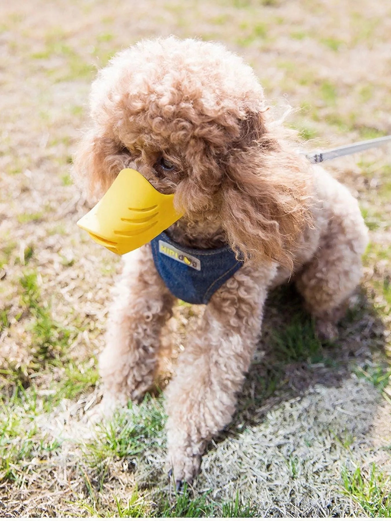 572de12e-122d-45d9-bd12-8ac38e9dc5af-Max-Origin