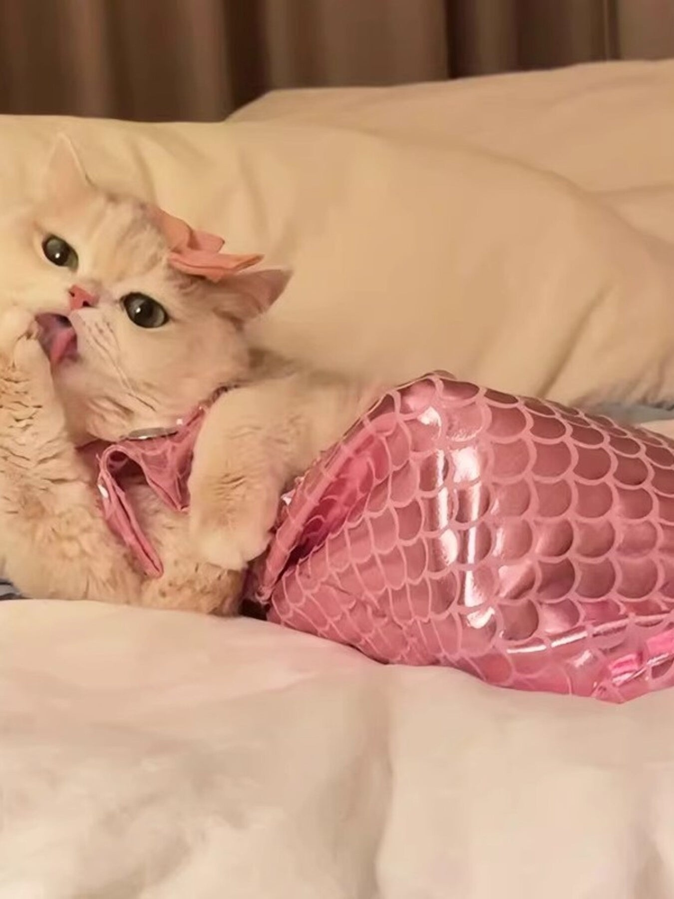 5683636498db433a85791f783391a117-Max