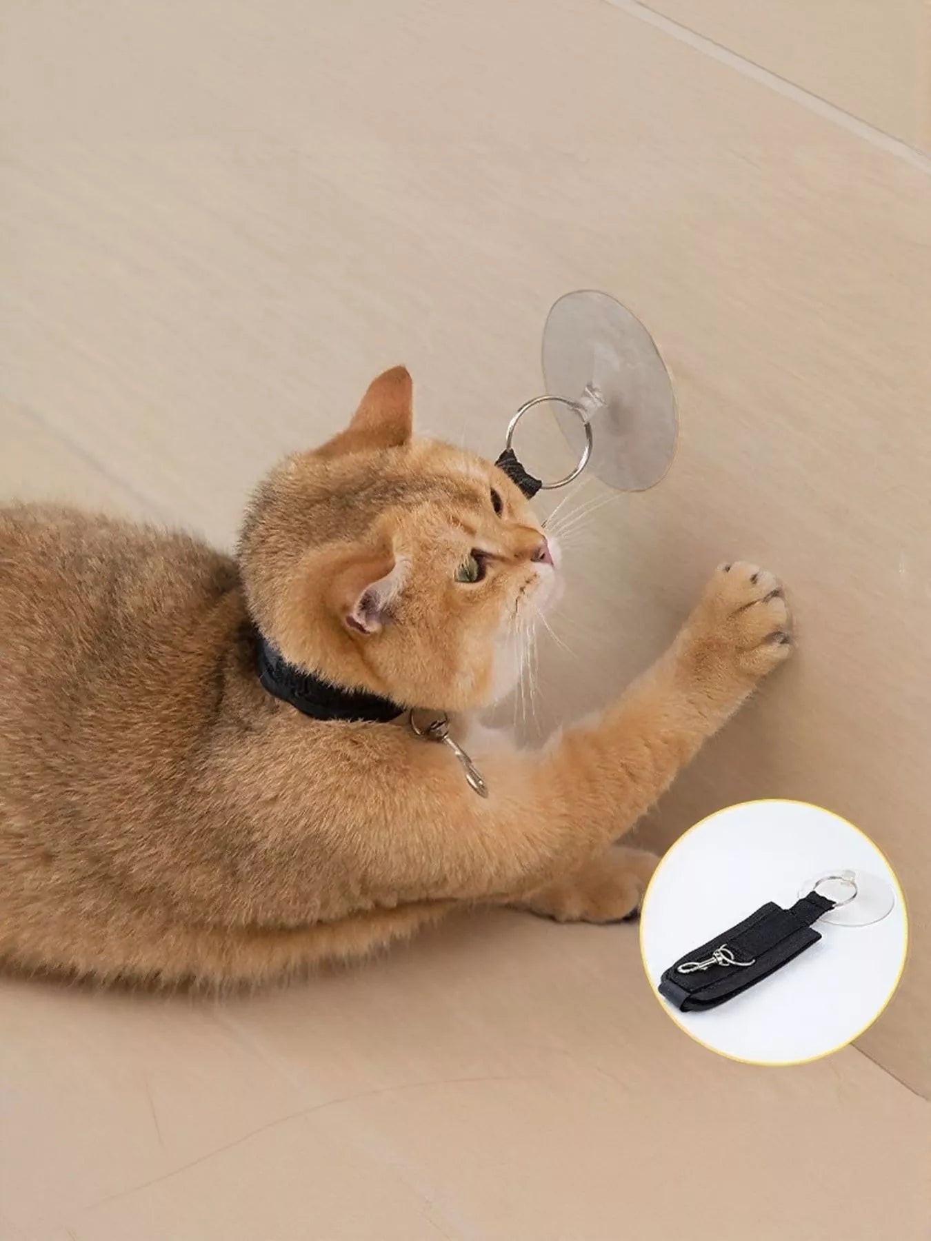 f1a738c6-8faf-48fb-8812-52b4ca07b84c-Max-Origin