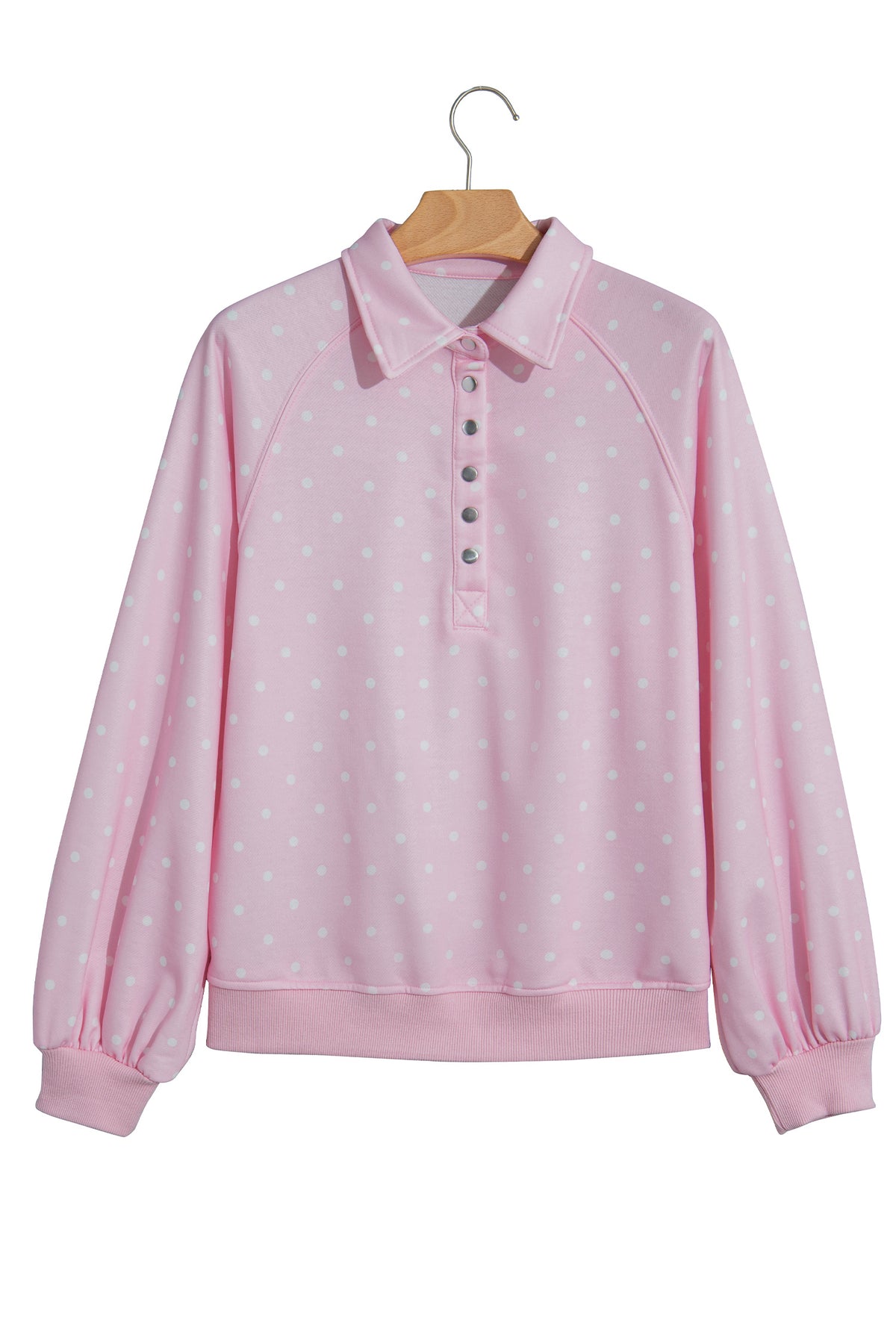 Blue Polka Dot Print Metal Button Collar Casual Pullover Sweatshirt