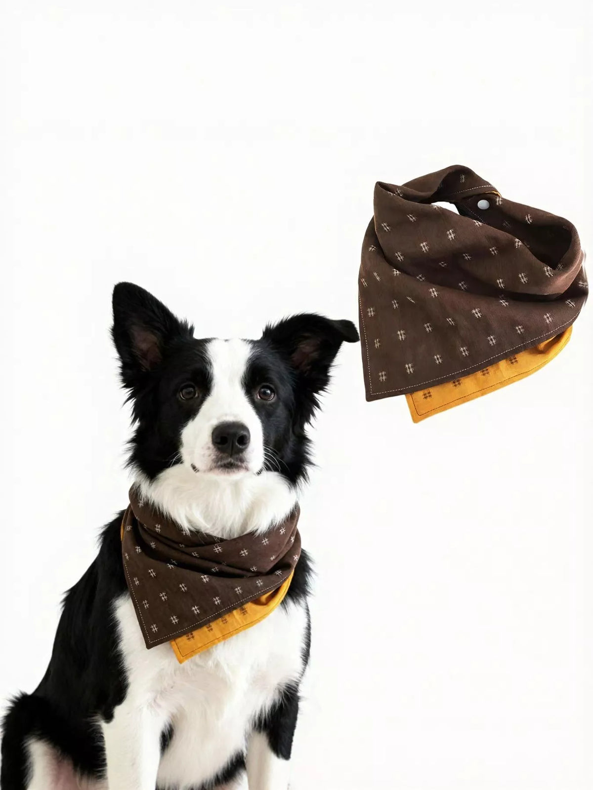 5488f1fb-77d8-4f23-80c0-ddc3080c9134-Max-Origin