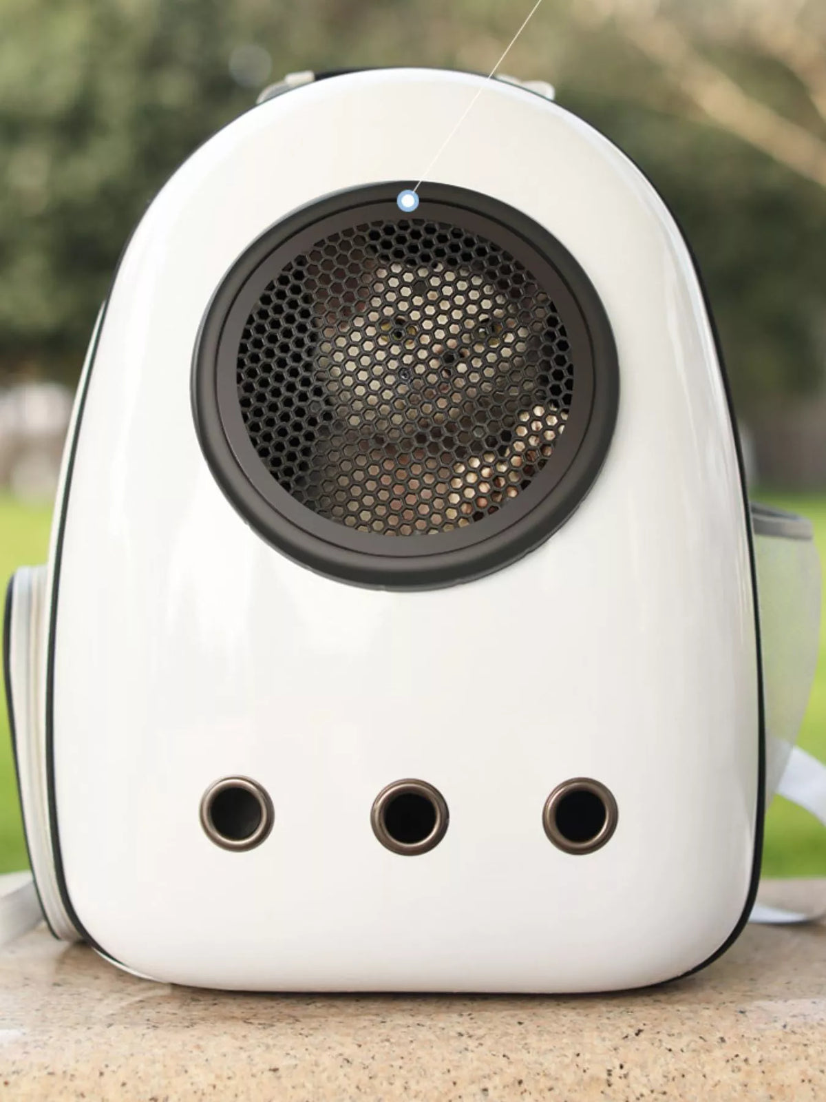 556bda26-4d55-4ad9-a578-e7d63f4d7a34-Max-Origin