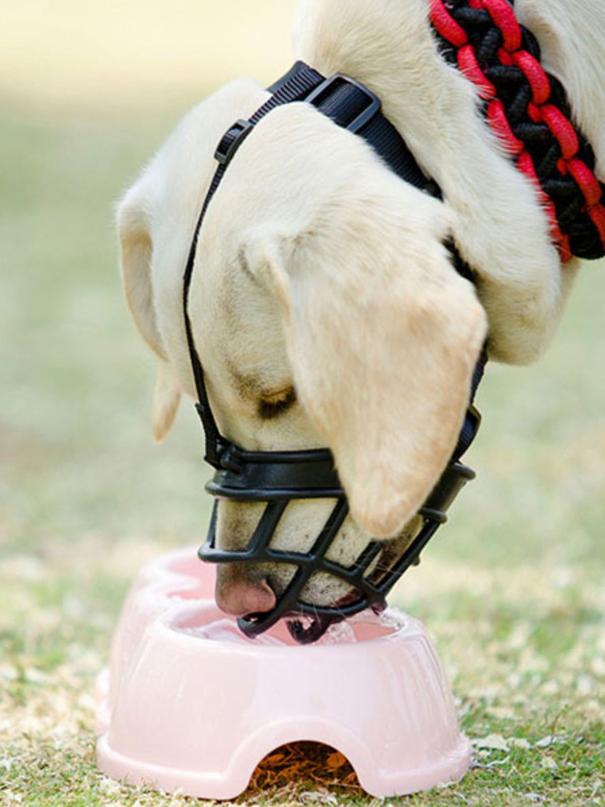 557fc78e-5117-45d4-8590-b9624e20213c-Max