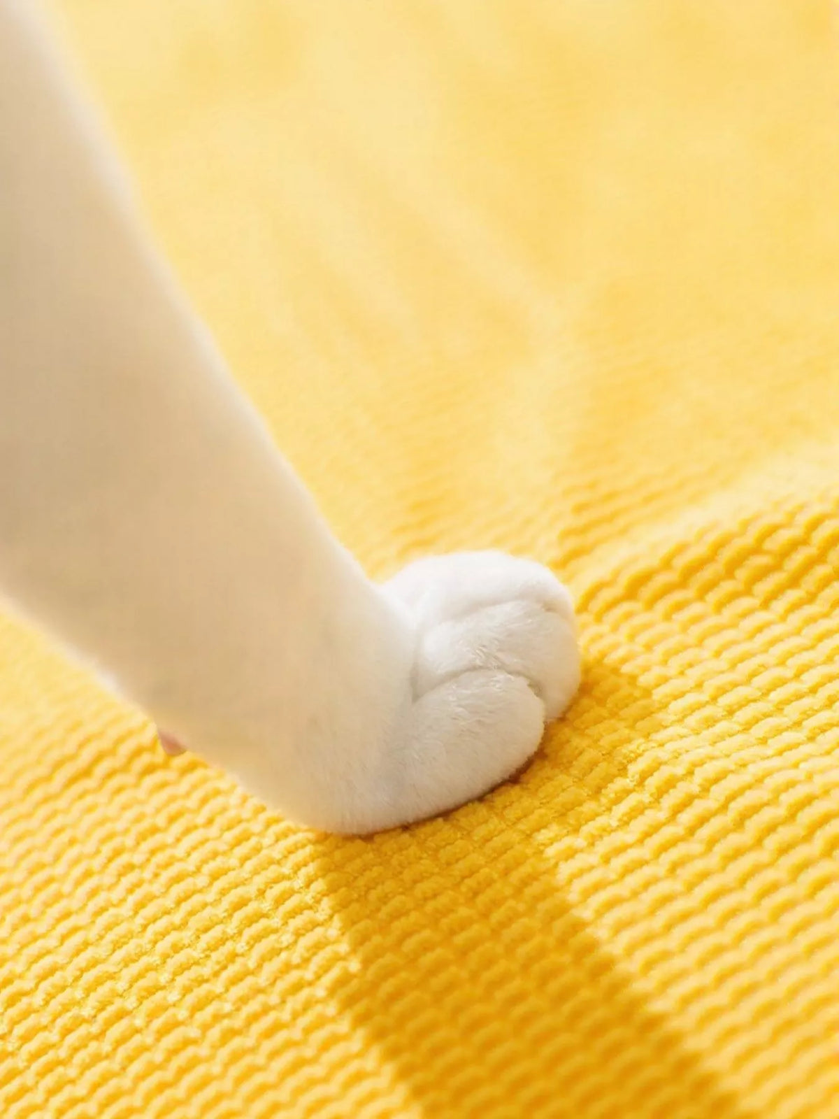 58e55de3-6309-44a1-a90c-98a76f104bbe-Max-Origin