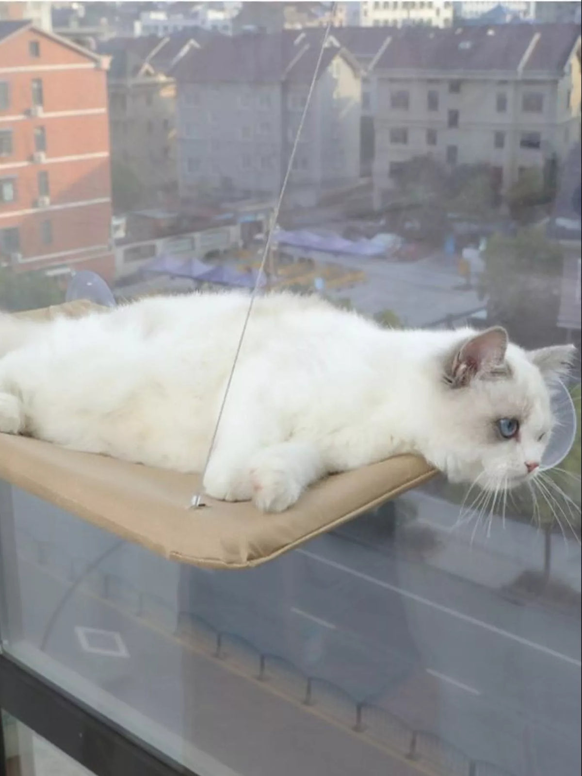 5f101ad5-93d3-4477-8374-46ea3922e67c-Max-Origin