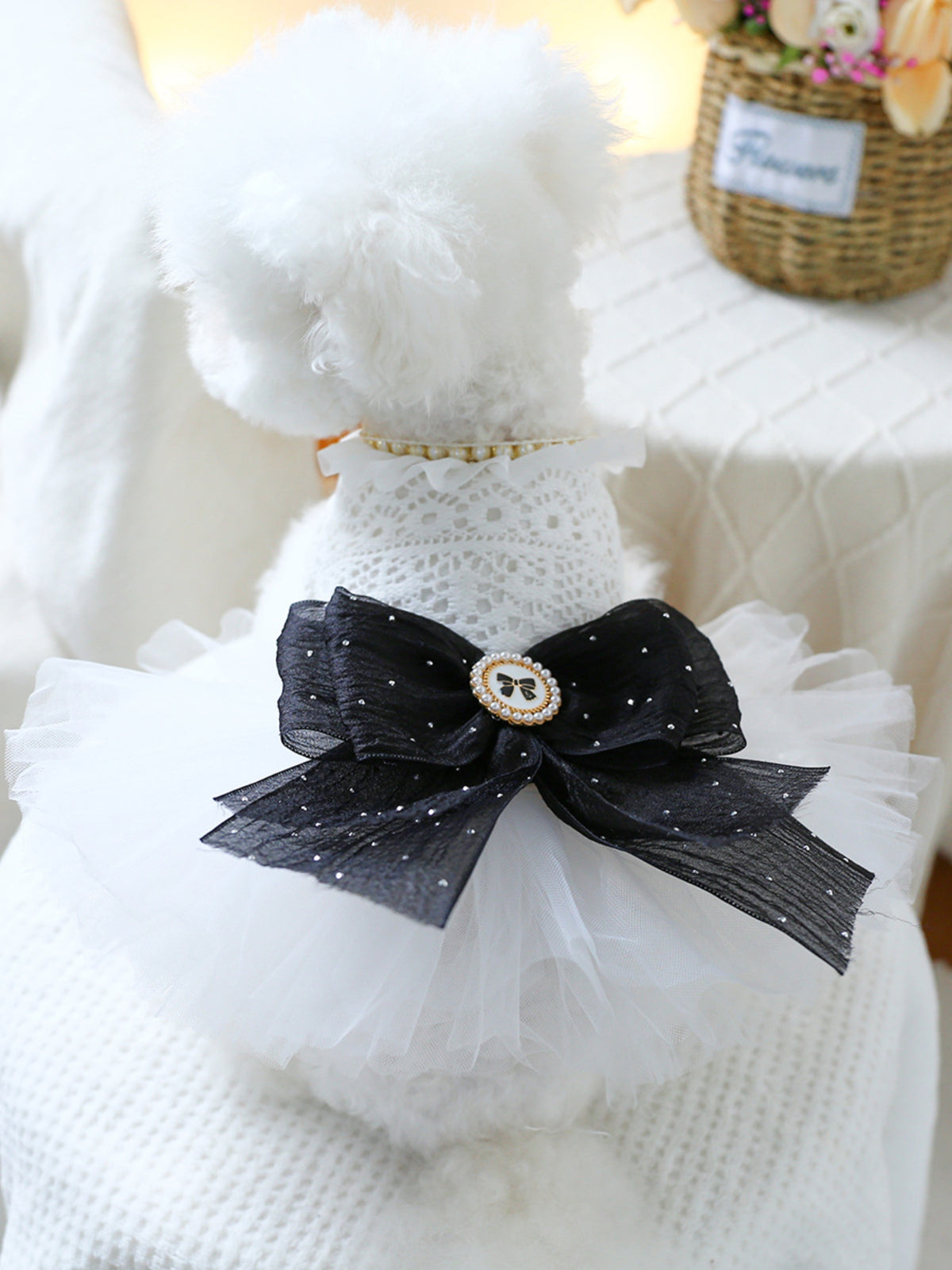 63c35d53-9e9c-490b-b6f2-bcaeb7898c38-Max