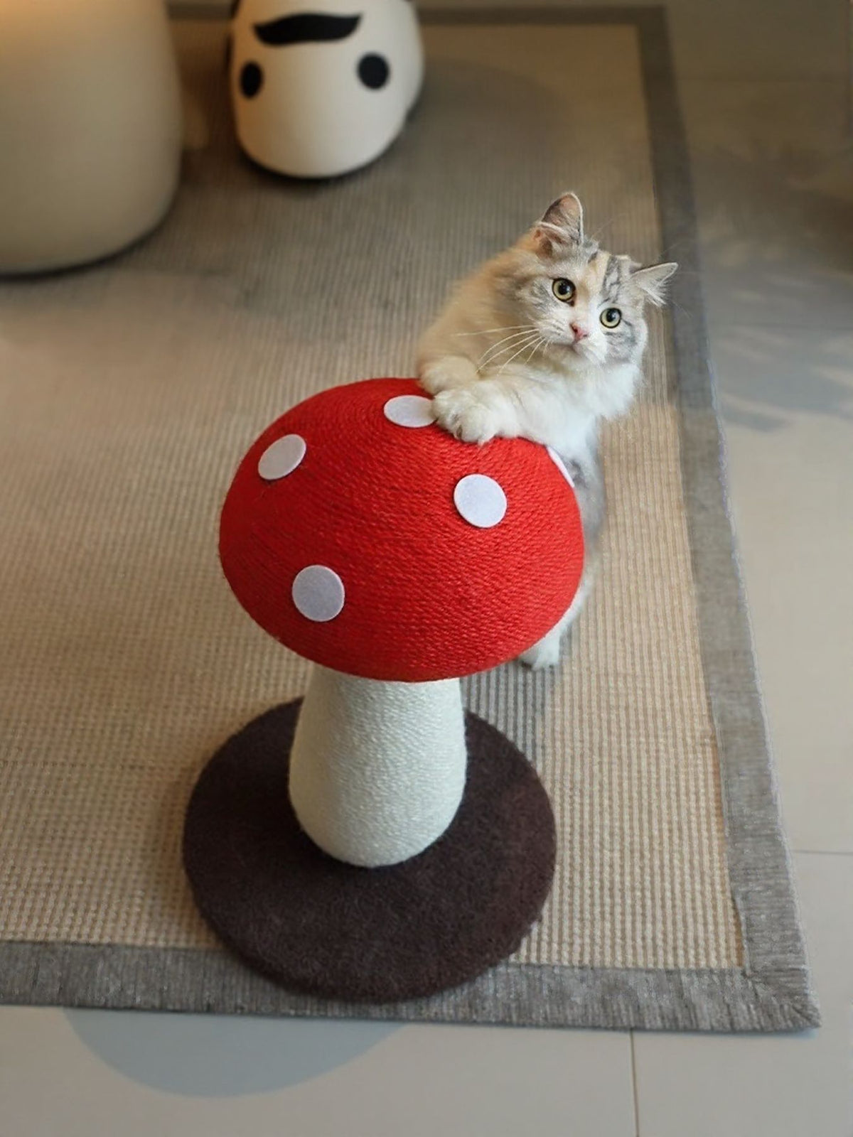 671712f5-8df0-440c-a3b9-40ea628f22cc-Max