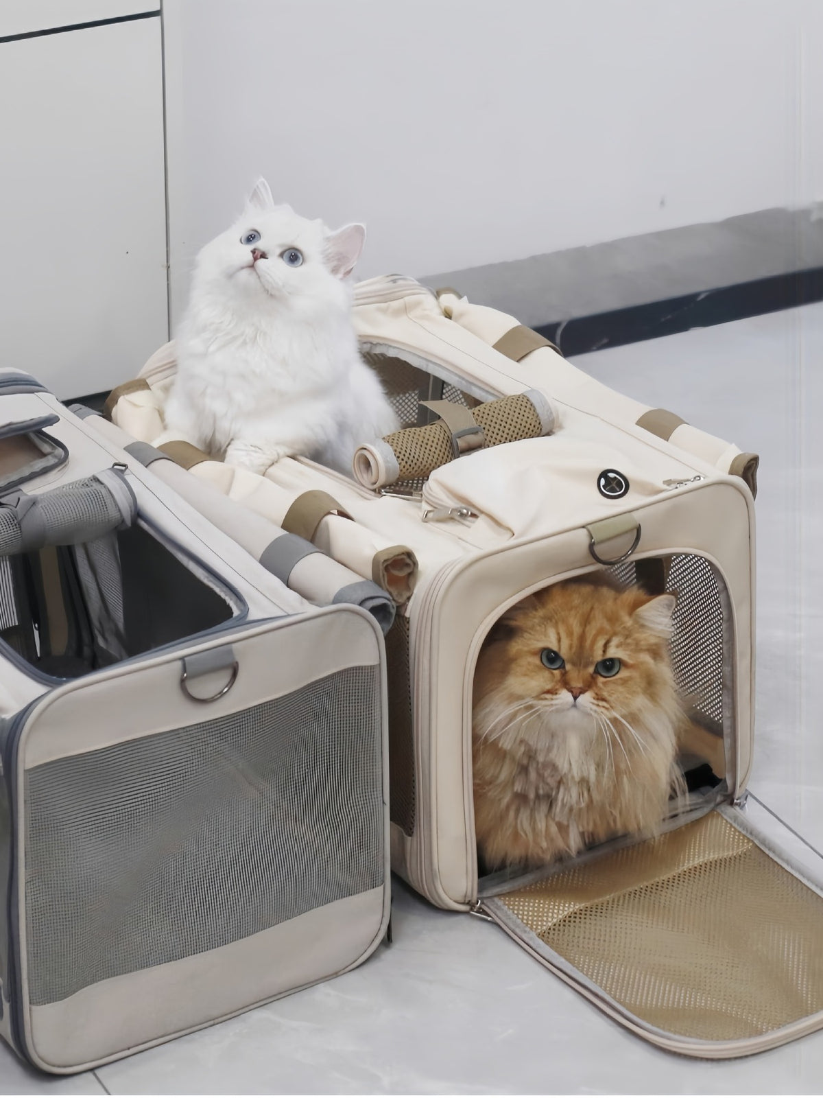 6969533177dc49b3a86af1ebb231e737-Max