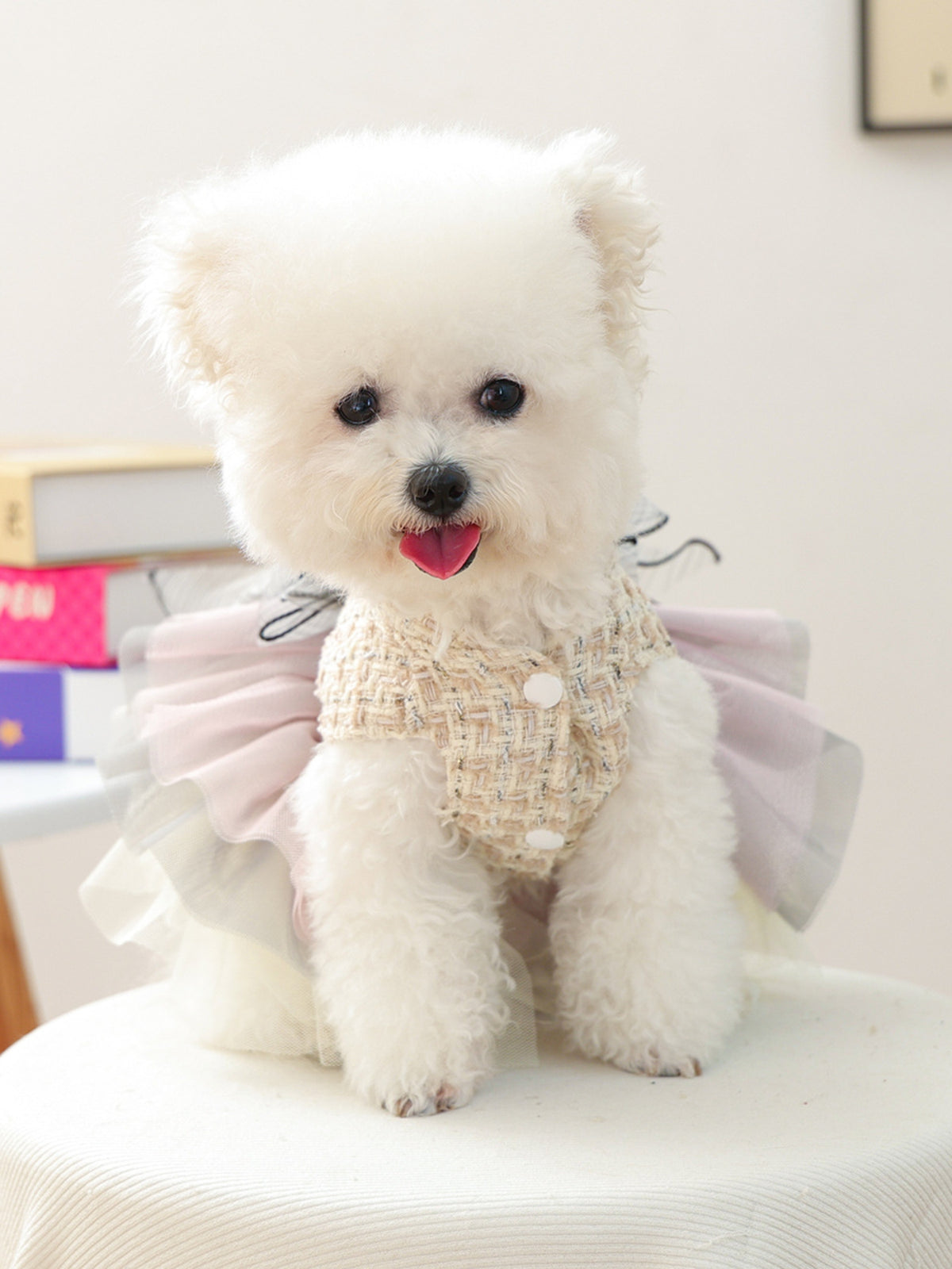 6c560579-336a-4a4f-a074-f164c59b2ec0-Max