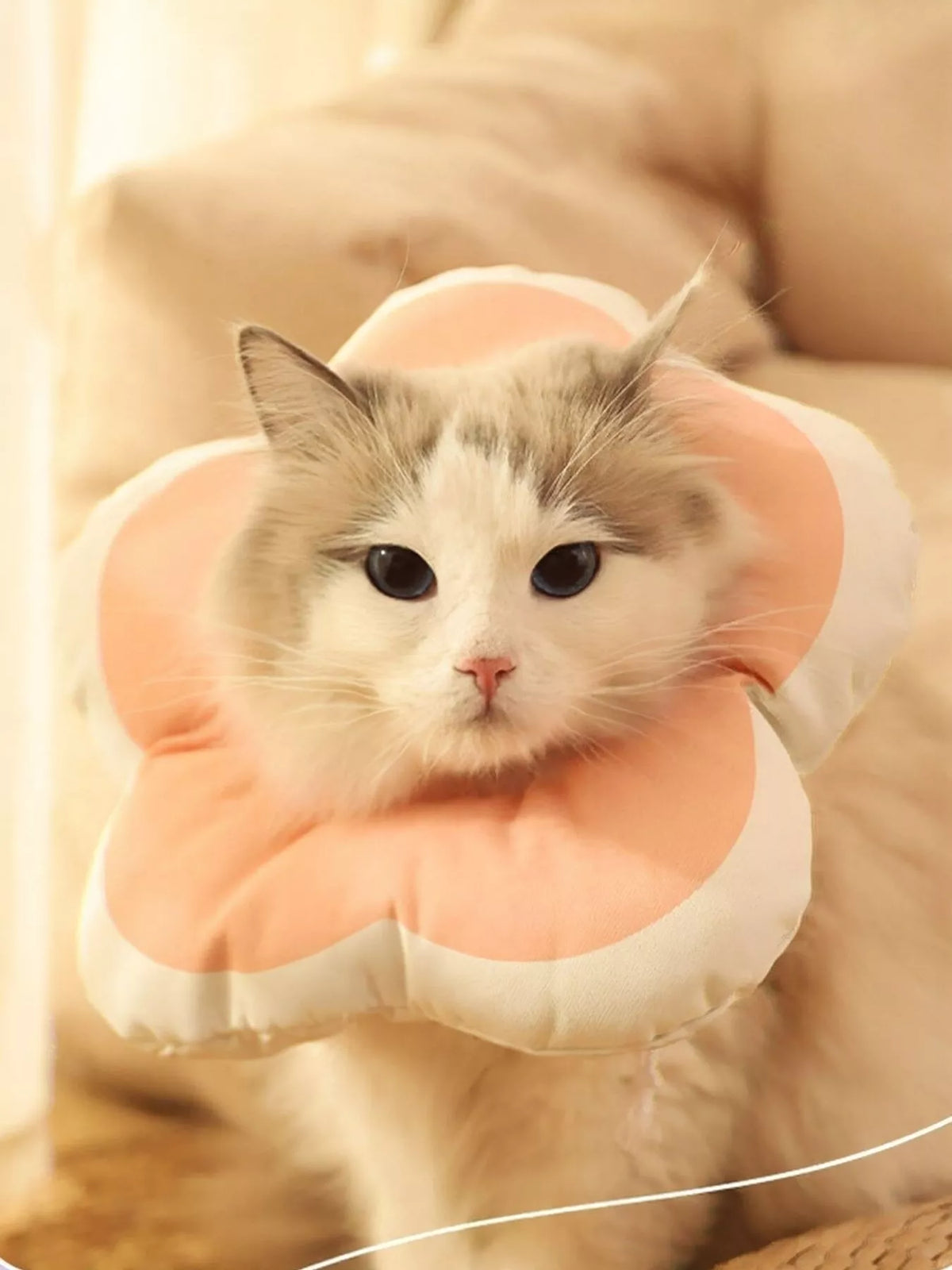 6d2c29f2033346249a642b265dfdbfda-Max-Origin