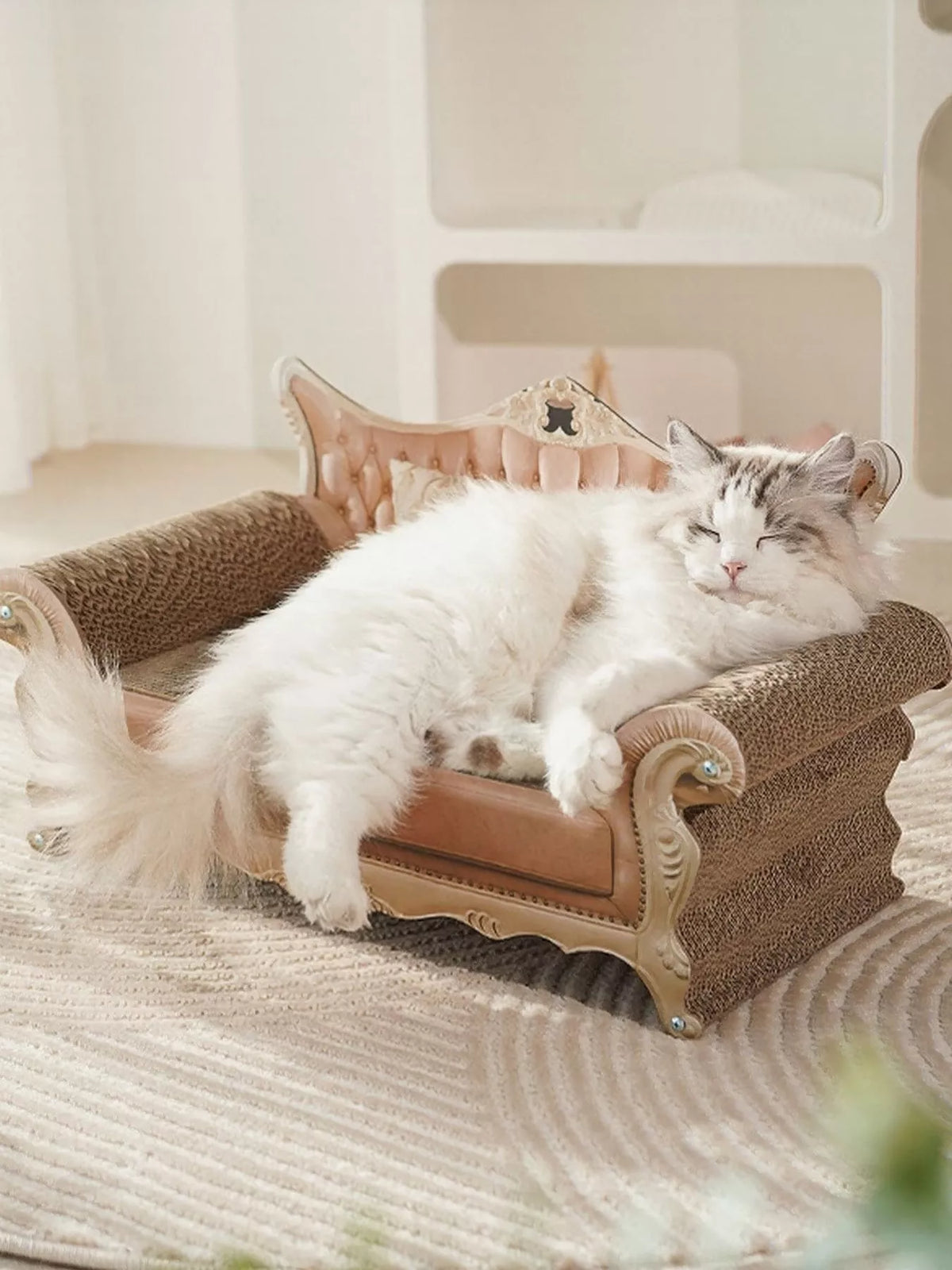 6f552d7a-b771-4d32-9523-efce8edeea91-Max-Origin