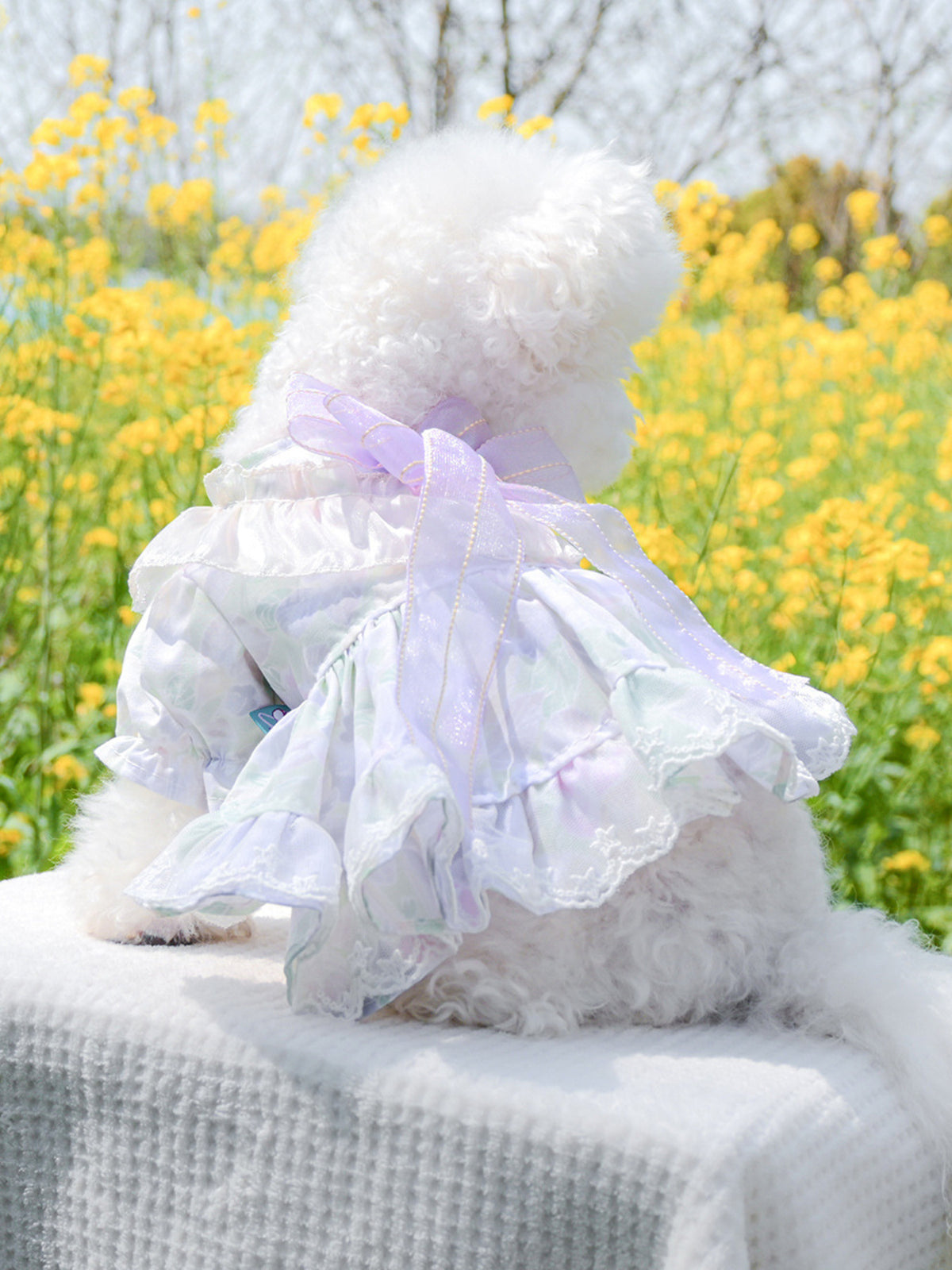 7cabdefe19794c86b5889e784ce94bf5-Max