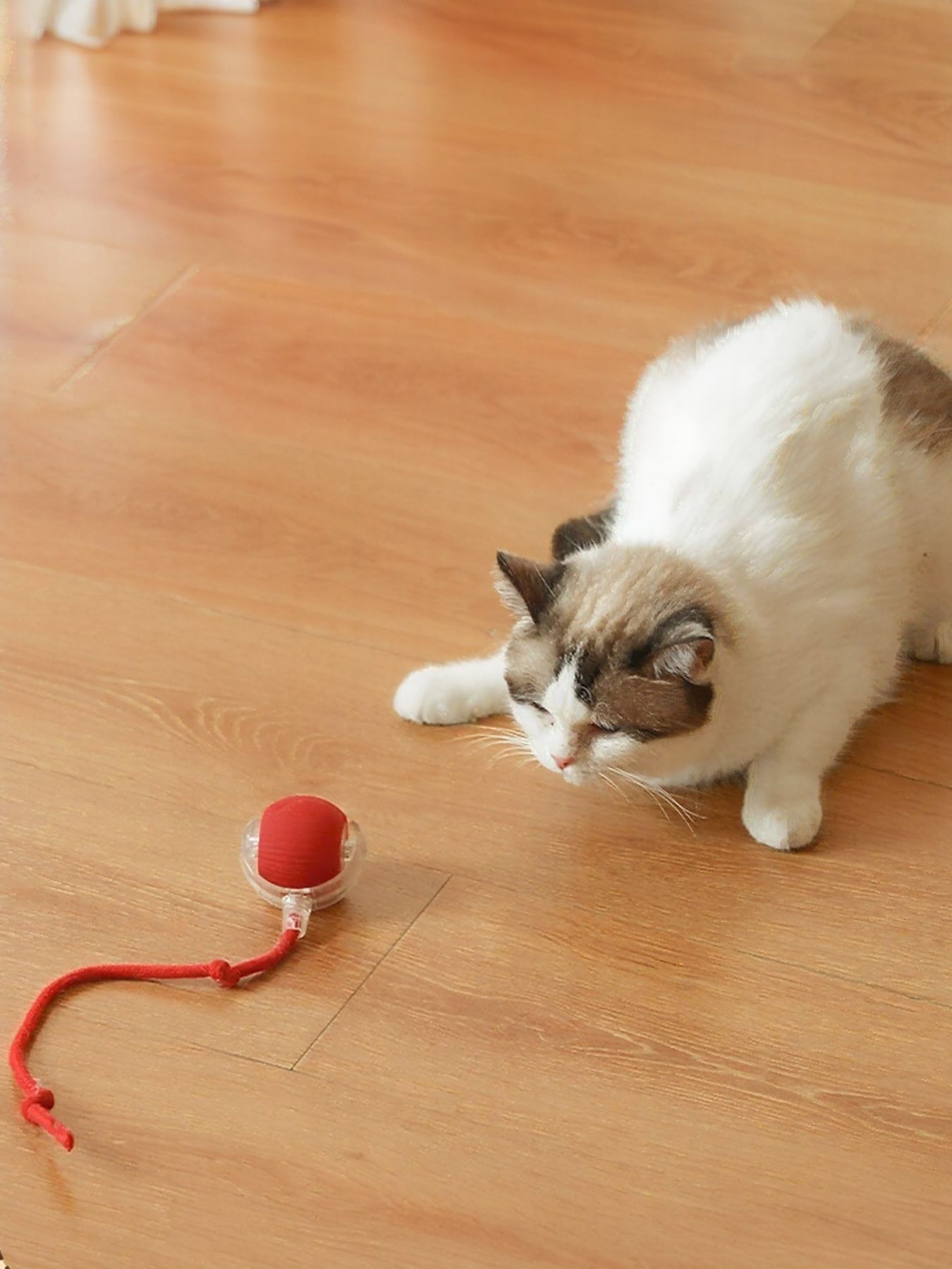 422364fc-ea3e-47b4-983a-0e4d2dd57b2d-Max