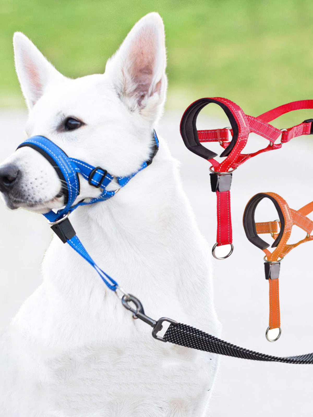 8671fc1de5ae43e1adb1be93120dbddf-Max