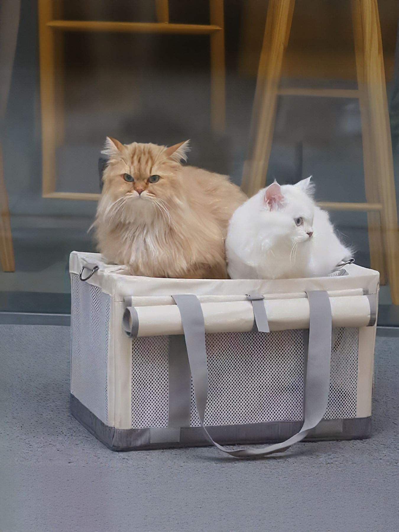 b333a4f9-3f92-4478-9fd5-b9473d6ff77d-Max