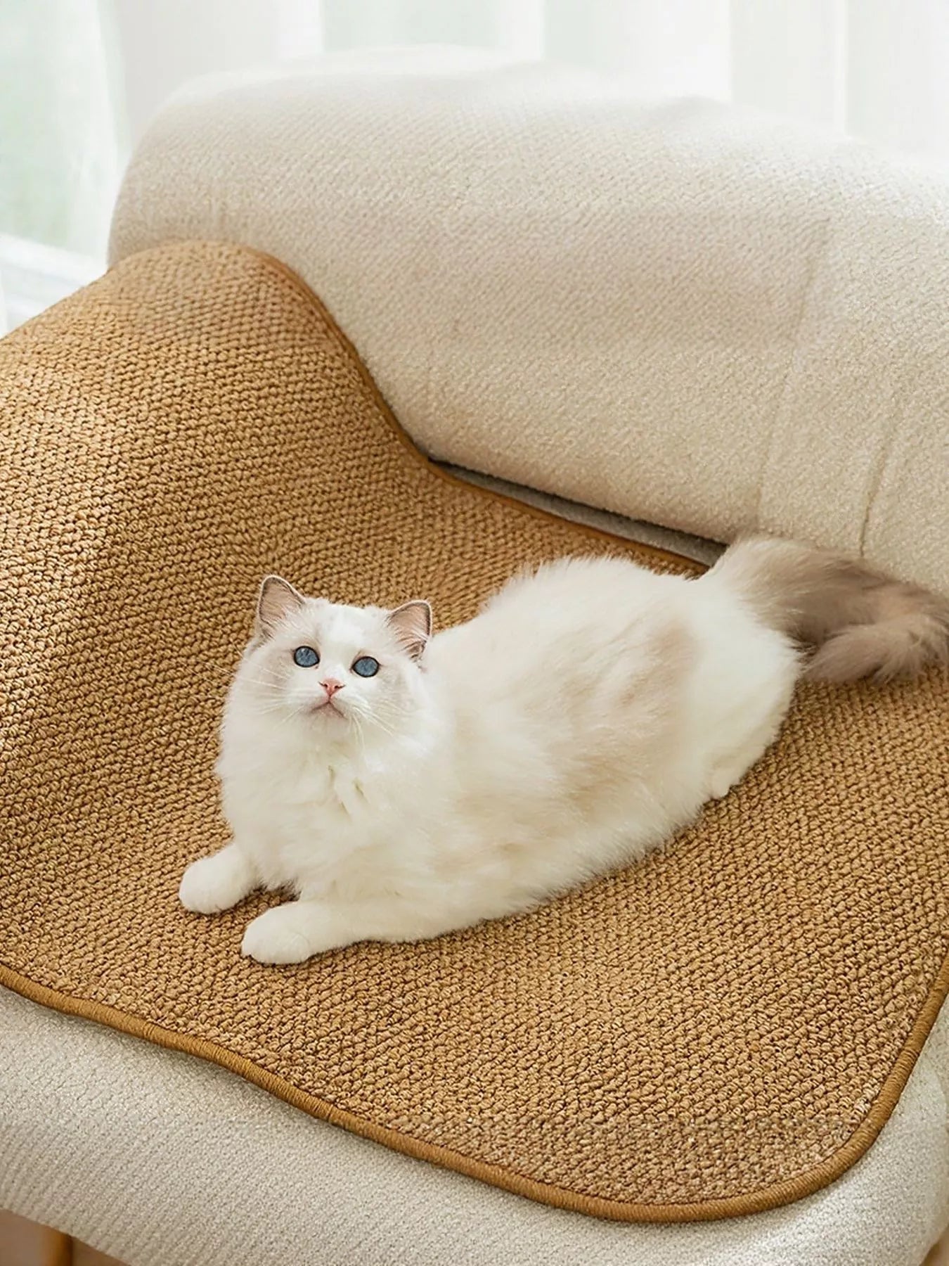 644d1cca-7494-4a1f-a9d5-5eb7e1edd46d-Max-Origin