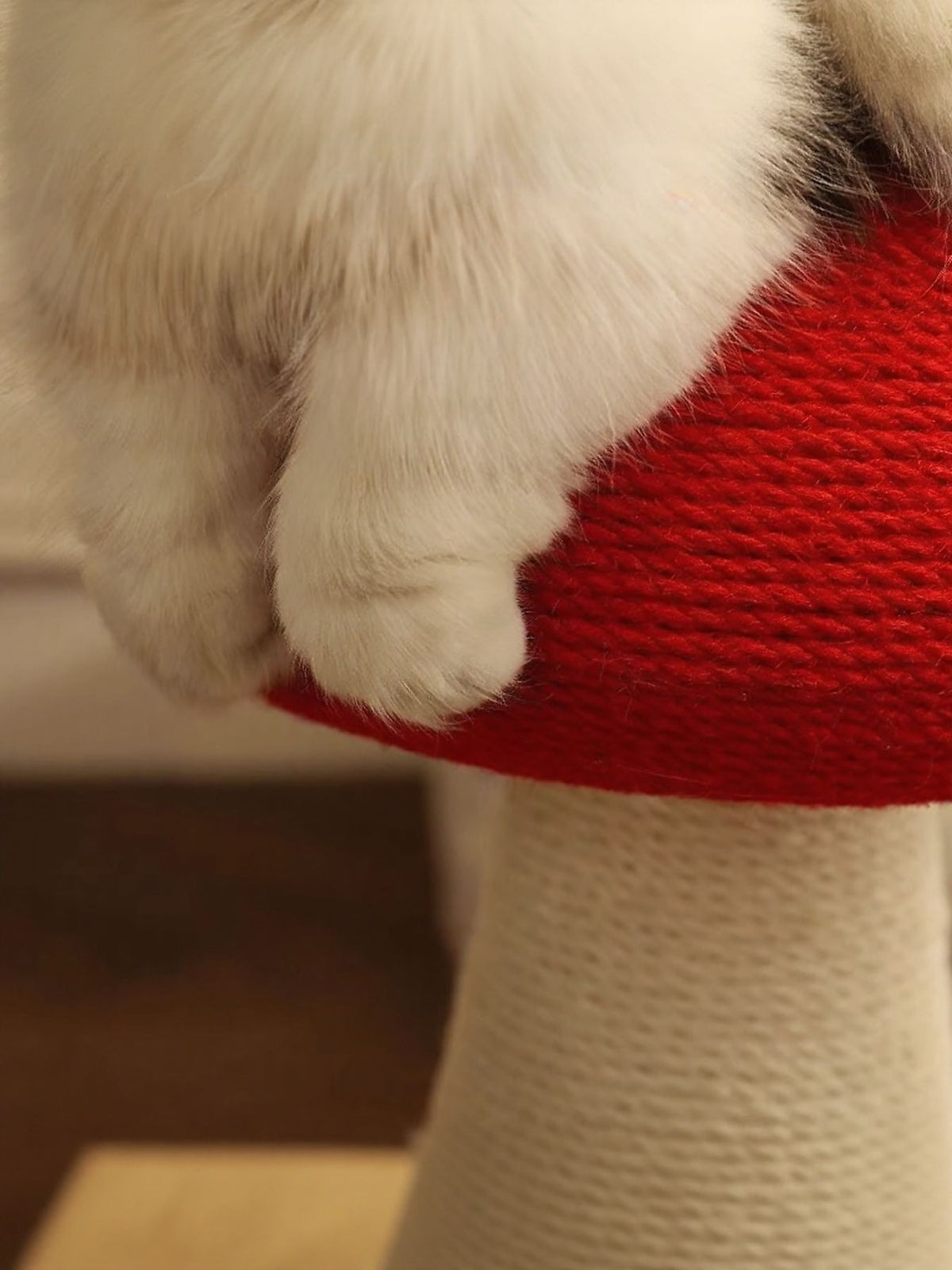 9292548e-501b-41bb-9b57-970b05d39eb0-Max